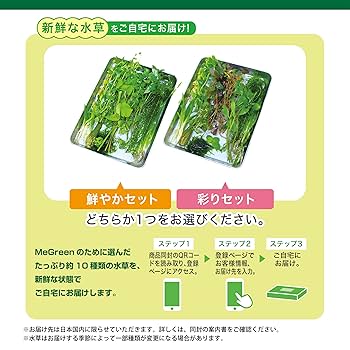 Amazon.co.jp: ジェックス MeGreen 新鮮な水草付き グラスアクア